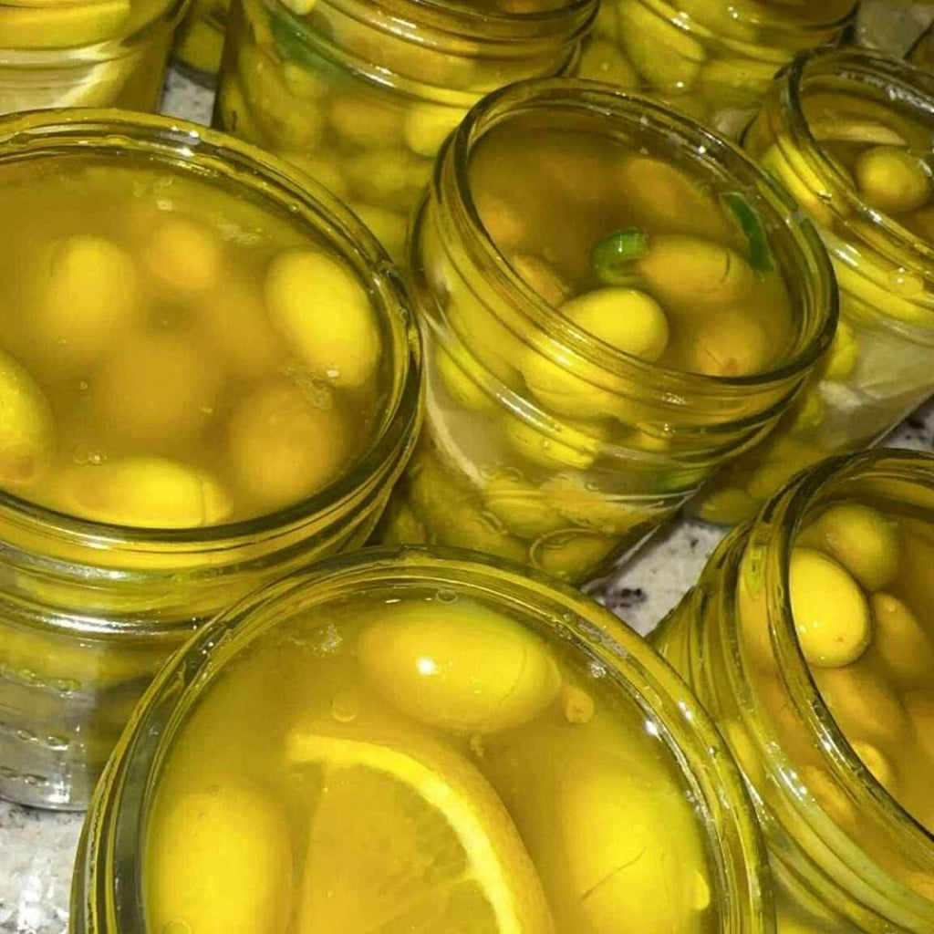 Pickled Jerusalem Olives