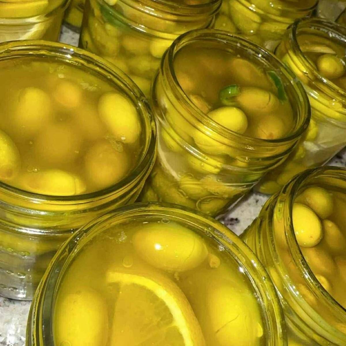 Pickled Jerusalem Olives